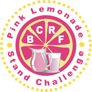 Breast Cancer Research Foundation logo